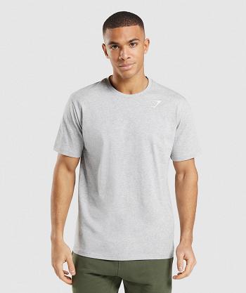 Gymshark Crest T Shirts Herr Ljusgrå | SE 3775KOR